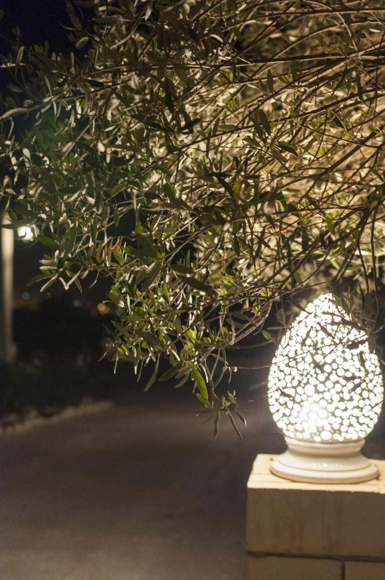 Tenuta Olive Alive ノート エクステリア 写真