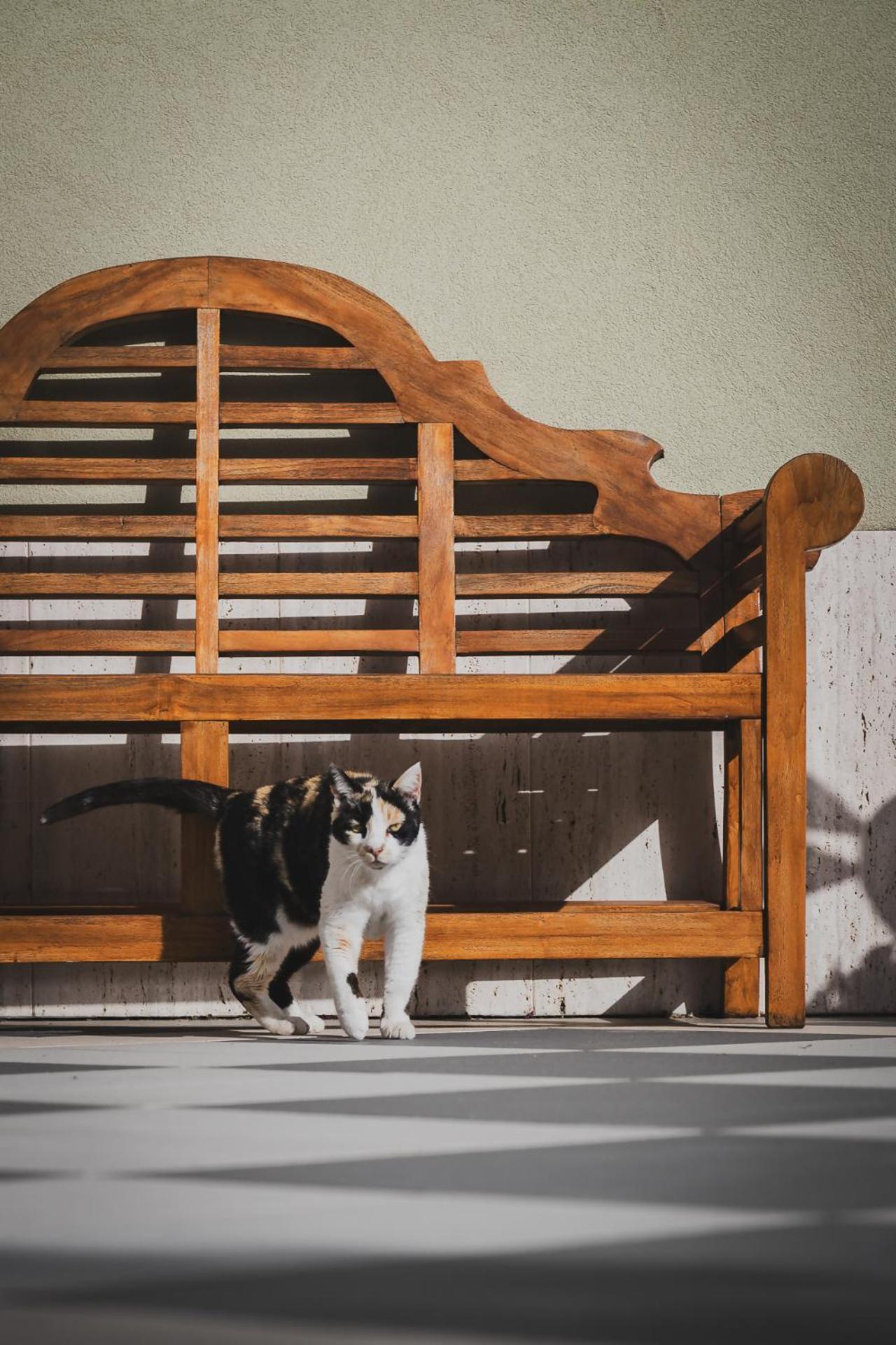 Tenuta Olive Alive ノート エクステリア 写真