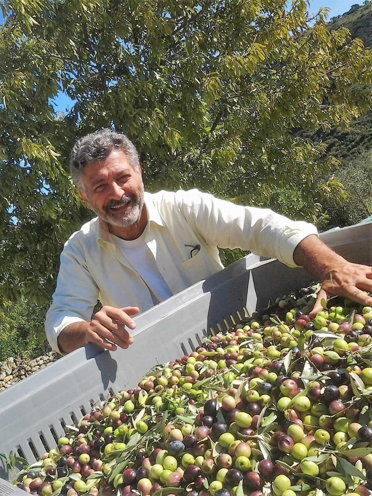 Tenuta Olive Alive ノート エクステリア 写真