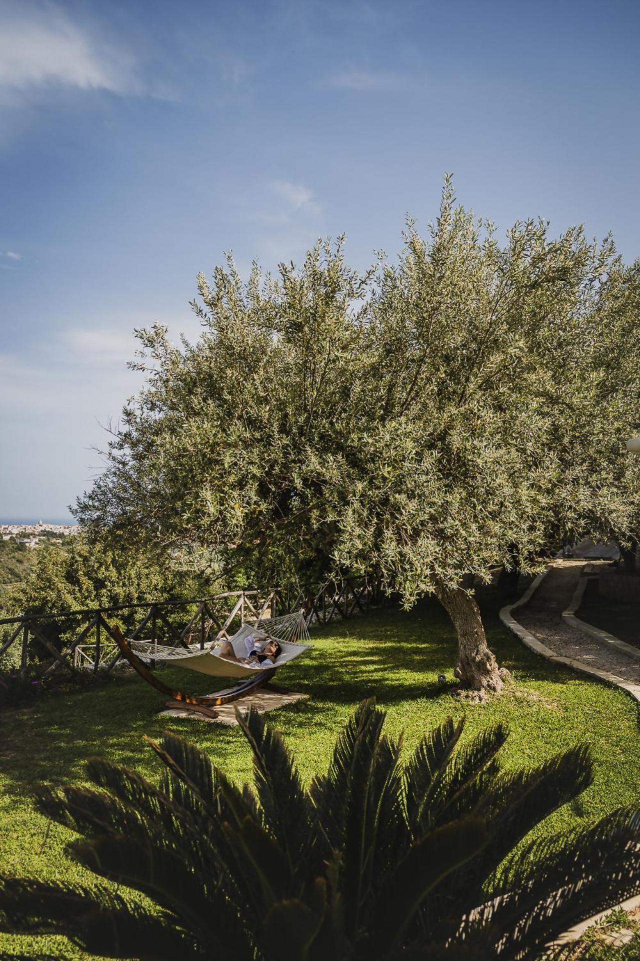 Tenuta Olive Alive ノート エクステリア 写真